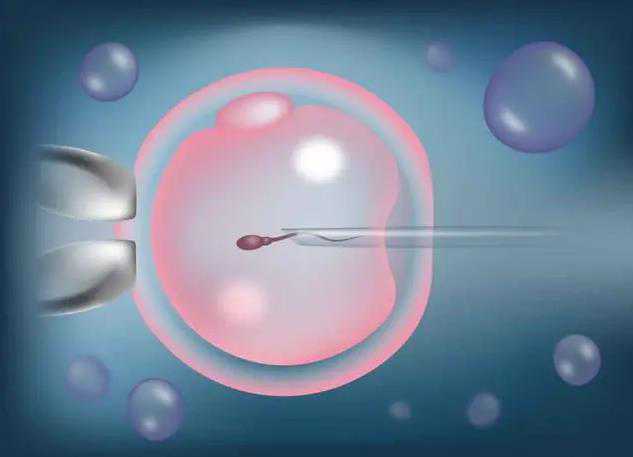 2026年精液常规检查全攻略：流程、费用及不孕不育助孕注意事项