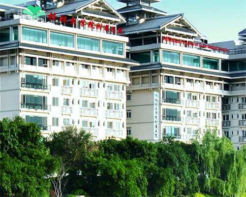 2026年试管婴儿最多能做几次？专家详解助孕移植频率限制