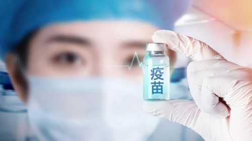 2026年解读8c与12c胚胎质量差异：试管移植该选哪个？助孕专家带您看详情