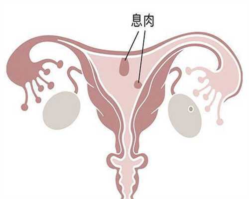 <strong>2026试管移植反复生化原因解析：胚胎质量与子宫环境如何影响助孕成功率</strong>